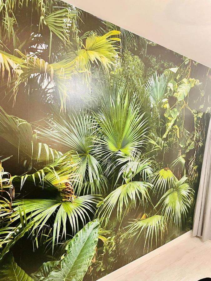 בווה La Saveur Tropicale-Proche Centre Ville-Aeroport מראה חיצוני תמונה